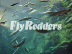 FlyRoders